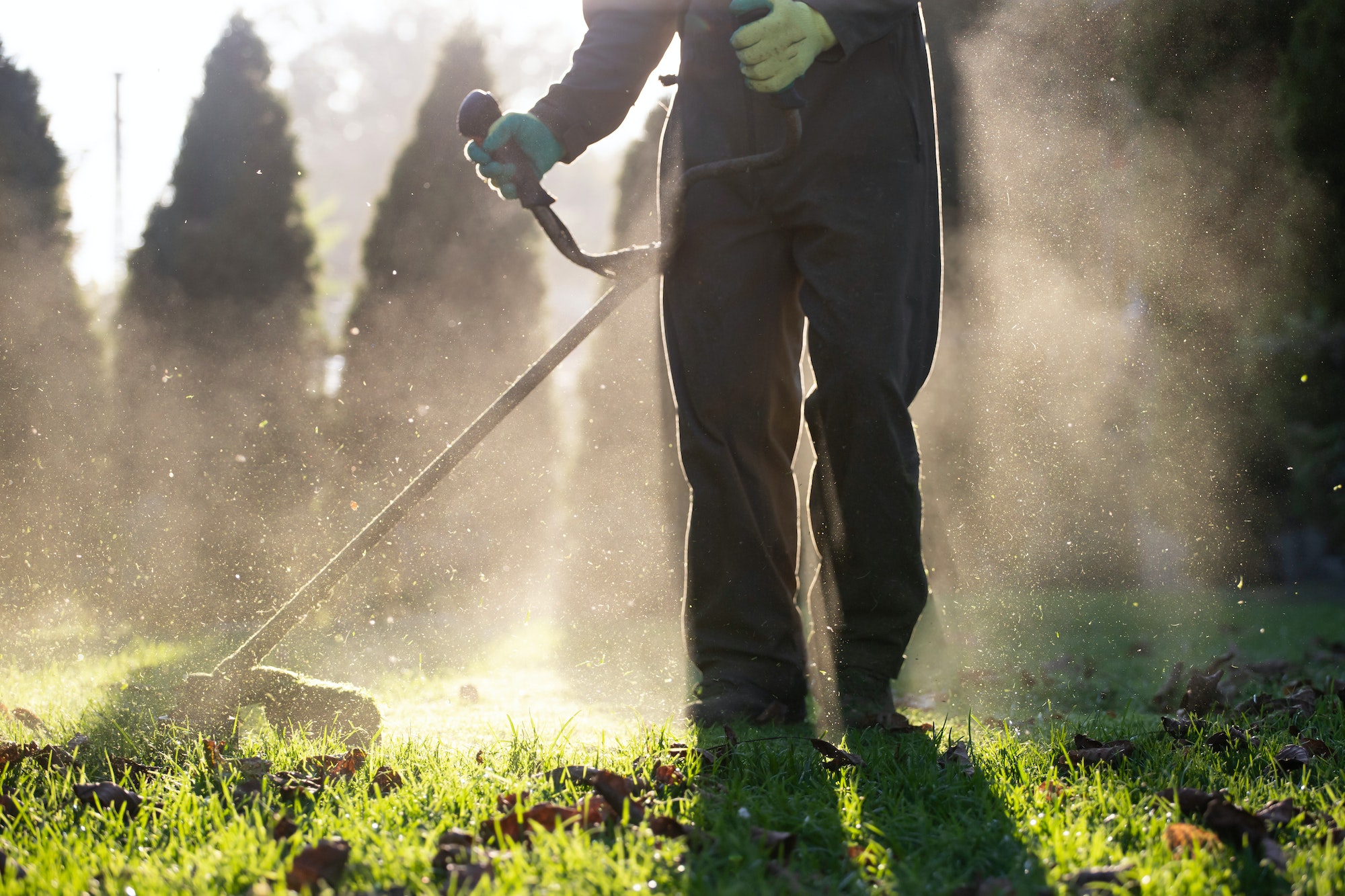 Lawn mover on green grass. Machine for cutting lawns.